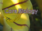 Image for Core Biology